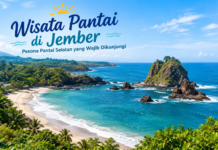 Wisata Pantai di Jember: Pesona Pantai Selatan yang Wajib Dikunjungi